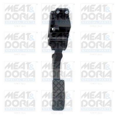 Accelerator Pedal Unit